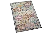 CARPETIA Teppich Outdoor Orientteppich Wohnzimmerteppich Ornamente bunt Größe 80x150 cm