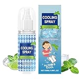 Erfrischender Sprühnebel – Kühlspray 50 ml praktisch | feuchtigkeitsspendender Eisnebel,...