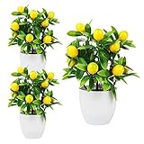 WIVAYE Künstlicher Zitronenbaum, Mini-Topfpflanzen, Bonsai, künstlicher grüner Topf in Töpfen...
