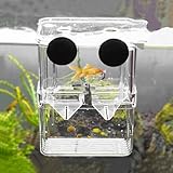 Aquarium Zuchtbox, Fischzuchtbox, Aquarien Aufzuchtbehälter, Garnelen Aufzuchtbecken, Aquarium...