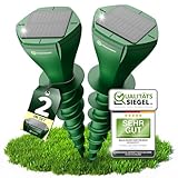 HEIMWERT Maulwurf Vertreiber Wühlmausschreck - SCHNELLE Ergebnisse mit KI Wechselfrequenz Automatik...