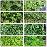 Brunnenkresse zimmerbonsai bonsai pflanzensamen zimmerpflanzen dachbegrünung gartenpflanzen...