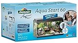 Dehner Aqua Aquarium Starterset 60, ca. 61 x 37 x 31 cm, inkl. Futter und Pflegeprodukten