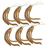 Sosoport Vogelfutter Naturliches Sittichfutter Nymphensittichfutter Vogelleckerlis Sittich Leckerlis...