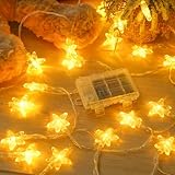 Dalugo Lichterkette Sterne 6M 40 LED Warmweiß mit 6h Timer, IP65 Wasserdicht für Kinderzimmer...