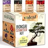 valeaf Bonsai Starter Kit I Bonsai Anzuchtset Geschenk für deinen Bonsai Baum I Zimmerpflanzen...