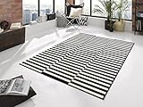Hanse Home Teppich Panel – Wohnzimmerteppich Kurzflor Streifen Design Grafisches-Muster Moderne...