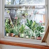 WandSticker4U®- Wiederverwendbare Fensterbilder Frühling selbstklebend ZIMMERPFLANZEN grün (92x38...