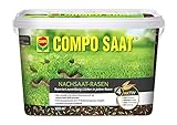 Compo SAAT Nachsaat-Rasen, Spezielle Nachsaat-Mischung mit wirkaktivem Keimbeschleuniger, 2 kg, 100...