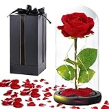 FUNINGEEK Die Schöne und das Biest Ewige Rose Im Glas Mit Licht Geschenk für Frauen,Infinity Rosen...