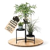 BigDean 3 Etagen Blumenständer klappbarer Pflanzenständer Metall Blumenregal robuster...