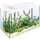 Tetra Starter Line 80 L Aquarium Weiß, Komplett-Set - inkl. Tag- & Nachtlicht LED-Beleuchtung,...