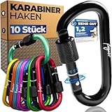 Karabinerhaken klein 10 STÜCK, Karabiner Schlüsselanhänger, Carabiner mit Schraubverschluss +...