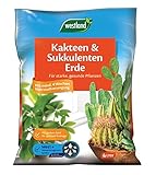 Westland Kakteen & Sukkulenten Erde, 4 l – Kakteenerde für gesunde Pflanzen, Erde mit Tongranulat...