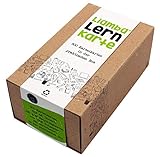 Liamba Lernkarte | 500 Karteikarten in der praktischen Lernbox | DIN A8 Format | 7,4 x 5,2 cm | 190g...