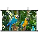 40/60/72 Zoll Wall Mount Leinwand Beamer, 16:9 HD-Projektionsleinwand Indoor mit 160°...