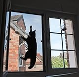 Fliegengitter Fenster katzensicher nach Maß Insektenschutz DIY Fliegengitter Fenster mit Rahmen als...