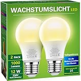 Briignite Die Glühbirne leuchtet. Eine Pflanzenlampe Pflanzen Lampe Wachstumslampe mit vollem...