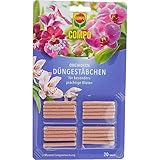 COMPO Düngestäbchen für Orchideen, Orchideendünger, Dünger mit 3 Monaten Langzeitwirkung, 20...