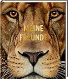 Freundebuch – Meine Freunde: Lebensgroß - Wilde Tiere Afrikas: Das Safari-Freundebuch für...