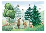 Vlies Fototapete Wald Tiere Wie Gemalt Waldtiere Kinderzimmer Mädchen Kinder Kindertapete...
