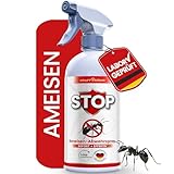 KRAFTKÖNIG Ameisenspray 500 ml – Direkt anwendbar mit Soforteffekt – Ameisen Spray für innen...