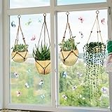 WandSticker4U®- XXL Fensterbilder Herbst selbstklebend HÄNGEPFLANZEN im Boho-Stil (112x59 cm) I...