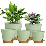 Neuytiky Selbstbewässernde Pflanztöpfe Set 5 Größen (12,7-17,8cm) - Blumentöpfe innen mit...
