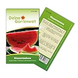 Wassermelonen Sugar Baby Samen - Citrullus lanatus - Wassermelonensamen - Obstsamen - Saatgut für...