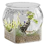 Dzqad Rundes Fischglas, Aquarien Fischschalen, Tischaquarium für Kampffische und Schildkröten,...