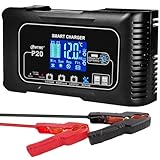 UMIUP 20 Amp Batterieladegerät, Lithium, 12 V und 24 V LiFePO4, Blei-Säure (AGM/Gel/SLA),...