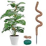 Moosstab für Monstera - 120cm Biegsame Pflanzenstütze für Indoor, Rankhilfe Monstera,...