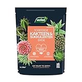 Westland Kakteen & Sukkulenten Erde, 4 l – Kakteenerde für gesunde Pflanzen, Erde mit Tongranulat...