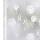Homein Fensterfolie Pusteblume 44.5x200 cm, Milchglasfolie für Fenster Klebefolie Bad Statisch...