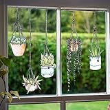 Fünfer-Set Fenster-Sticker/-Aufkleber mit gezeichneten Hängepflanzen-Motiven –...