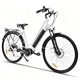 Varstrom Elektrofahrrad für Erwachsene Mittelmotor BBS01B 250W E-Bike Damen Herren Ebike 100km...