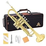 Yasisid Bb Standard Trompete Set für Anfänger oder Fortgeschrittene, Messing Musik-Blasinstrumente...