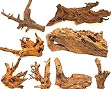 Wohnkult Mangrovenwurzel XL 45-60 cm Deko Aquarium Wurzel Holz Mangrove