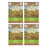 FLORTUS BIO Gerste Getreide Samen 300g | Alte Sorten Urgetreide zur Herstellung von Gerstengras...