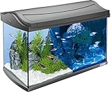 Tetra AquaArt LED Aquarium-Komplett-Set 60 Liter - inklusive LED-Beleuchtung, Tag- und...