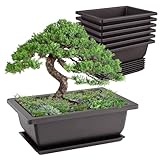 Idota 6 Stück Bonsai Schale, 16.5x12x6cm Bonsai Topf Wiederverwendbar Bonsaischale mit Tabletts,...