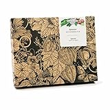 Magic Garden Seeds Katzenkräuter - Samen-Geschenkset mit 3 Kräuterarten, die ihre Katze lieben...