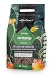 LECHUZA-Pflanzsubstrat CACTUSPON 6 Liter | für Kakteen und Sukkulenten | toffrei und ohne...