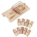 Rovar Mausefallen aus Holz 20er Pack - Klassische Schlagfalle, Wiederverwendbare giftfreie...