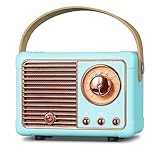 PRUNUS J-999 Mini Bluetooth Lautsprecher mit Radio FM, Retro Radio Bluetooth Speaker...