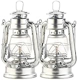 Lunartec Petroleum Lampen: 2er-Set Petroleum-Sturmlaternen mit Glaskolben, verzinkt, 18,5 cm...