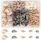 YSWOVUO 150 Stück Gemischte Muscheln zum Basteln, Natürliche Muscheln mit Aufbewahrungsbox,...