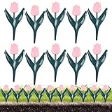 Walopola Beetzaun | Landschaftsbau- – Pflanzendekorationen für Bauernhaus, Pool, Hinterhof,...