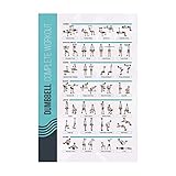 PosterMate - Fitness Poster für Gymnastikball & Hanteltraining - 42 x 63 cm - perfekte Übersicht -...