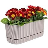 KONZEPT Blumenkasten klein für Balkon mit Untersetzer – 3L Balkonkasten aus wetterfestem...